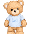 Born In 2026 Bears DTF