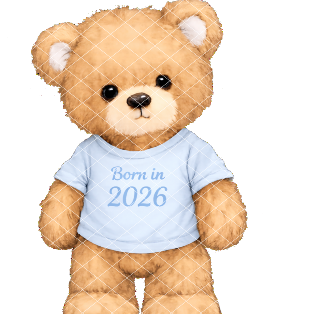 Born In 2026 Bears DTF