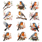 Memorial Bargain Sheets