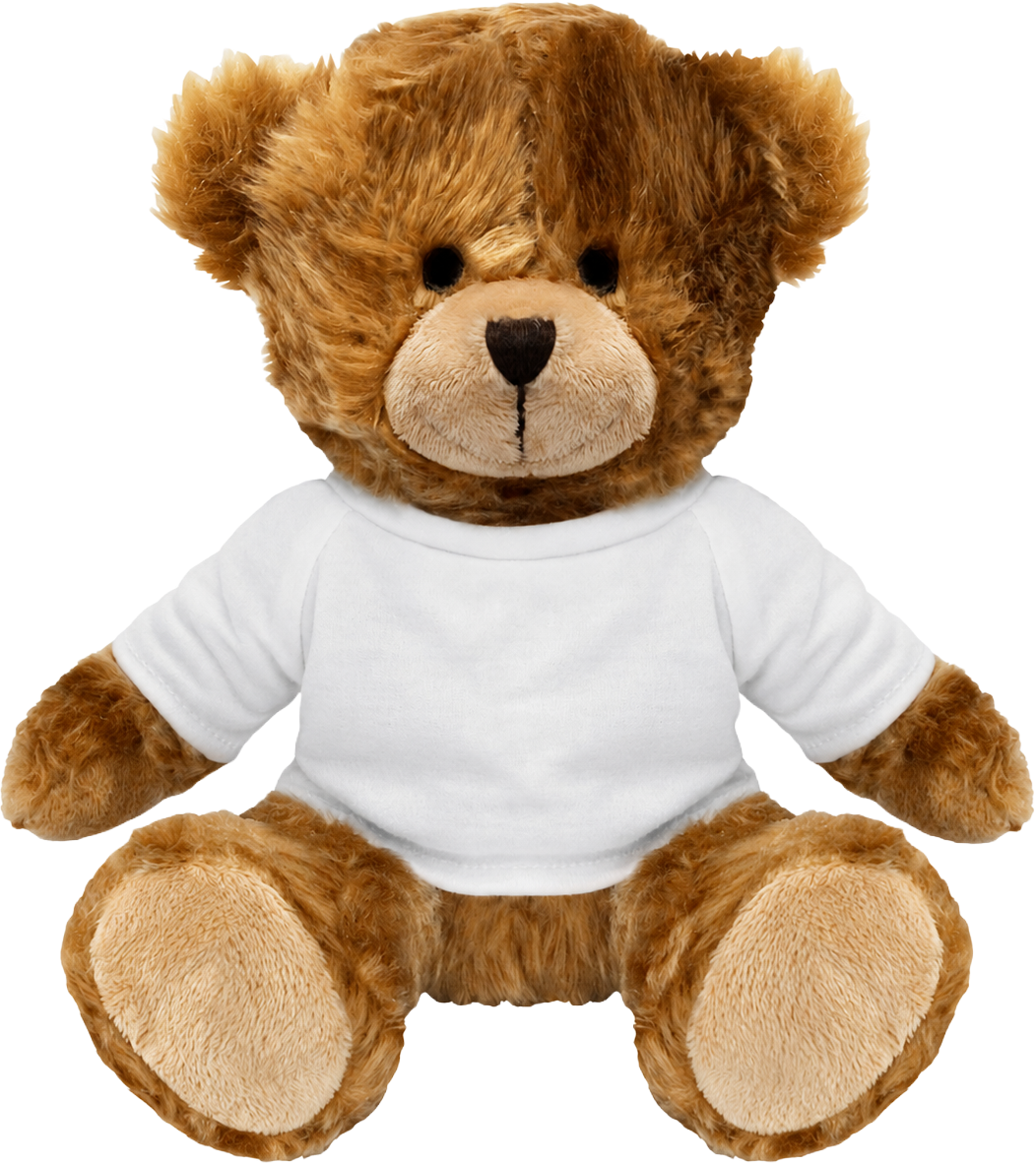 Teddy & T shirt