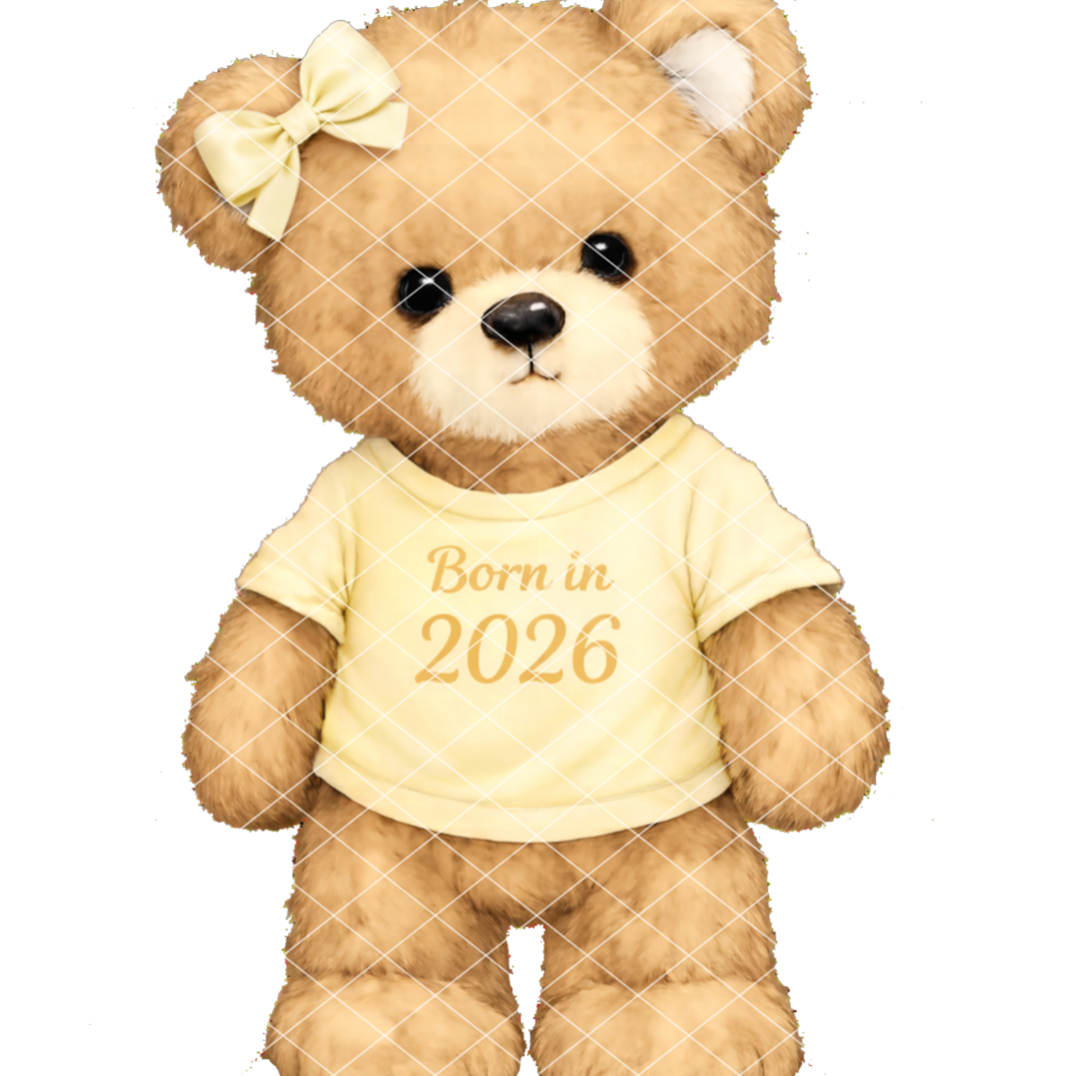 Born In 2026 Bears DTF