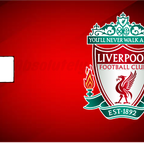 Credit / Debit Card Skins