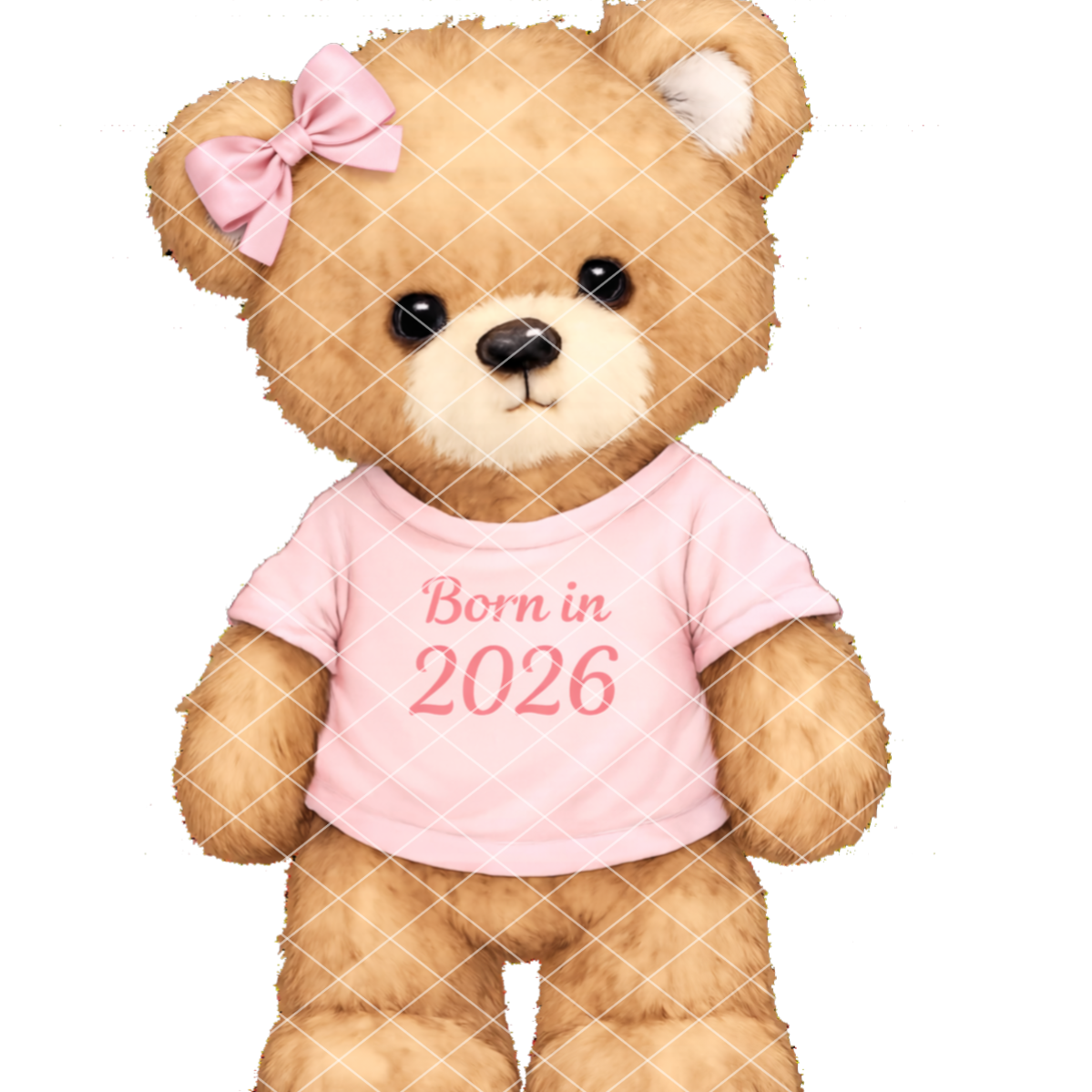 Born In 2026 Bears DTF