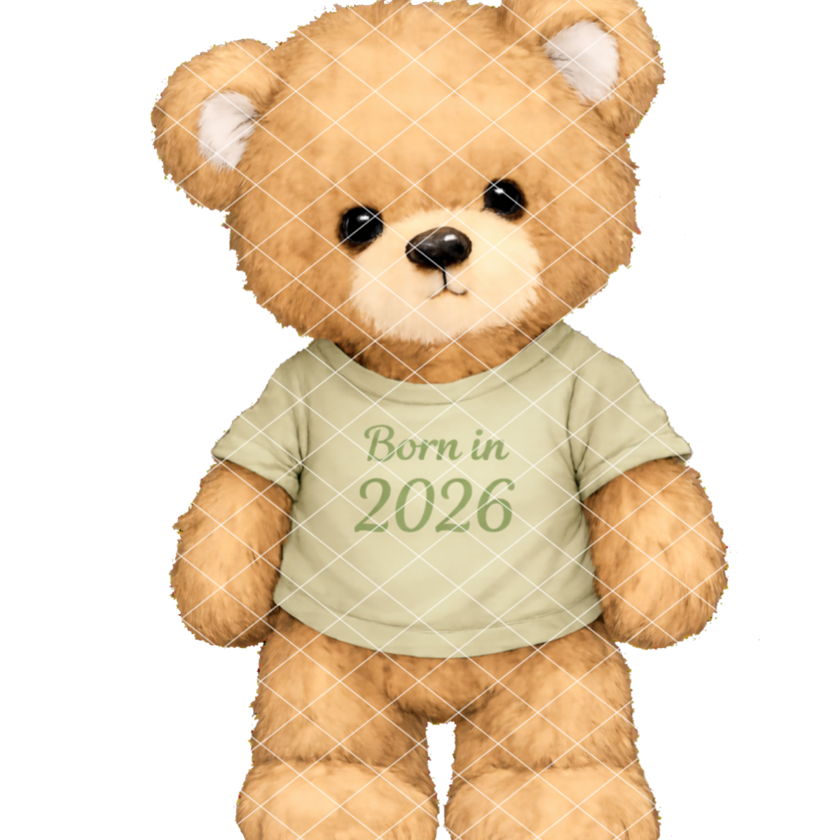 Born In 2026 Bears DTF